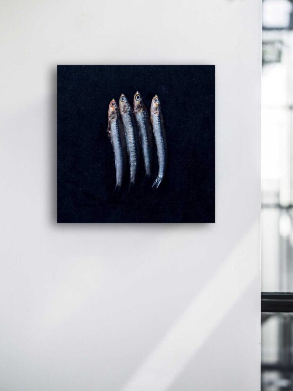 FOODART - ANSJOVIS